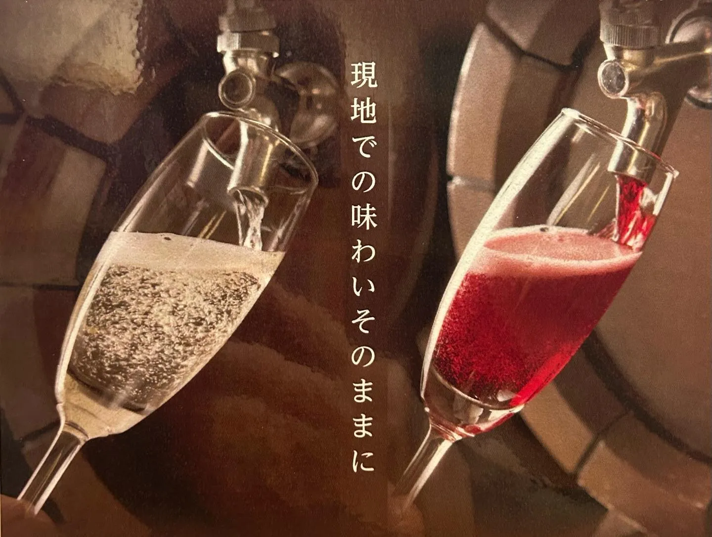 【経堂駅チカ】オシャレ居酒屋🏮おでんをつまみに昼飲みしません...